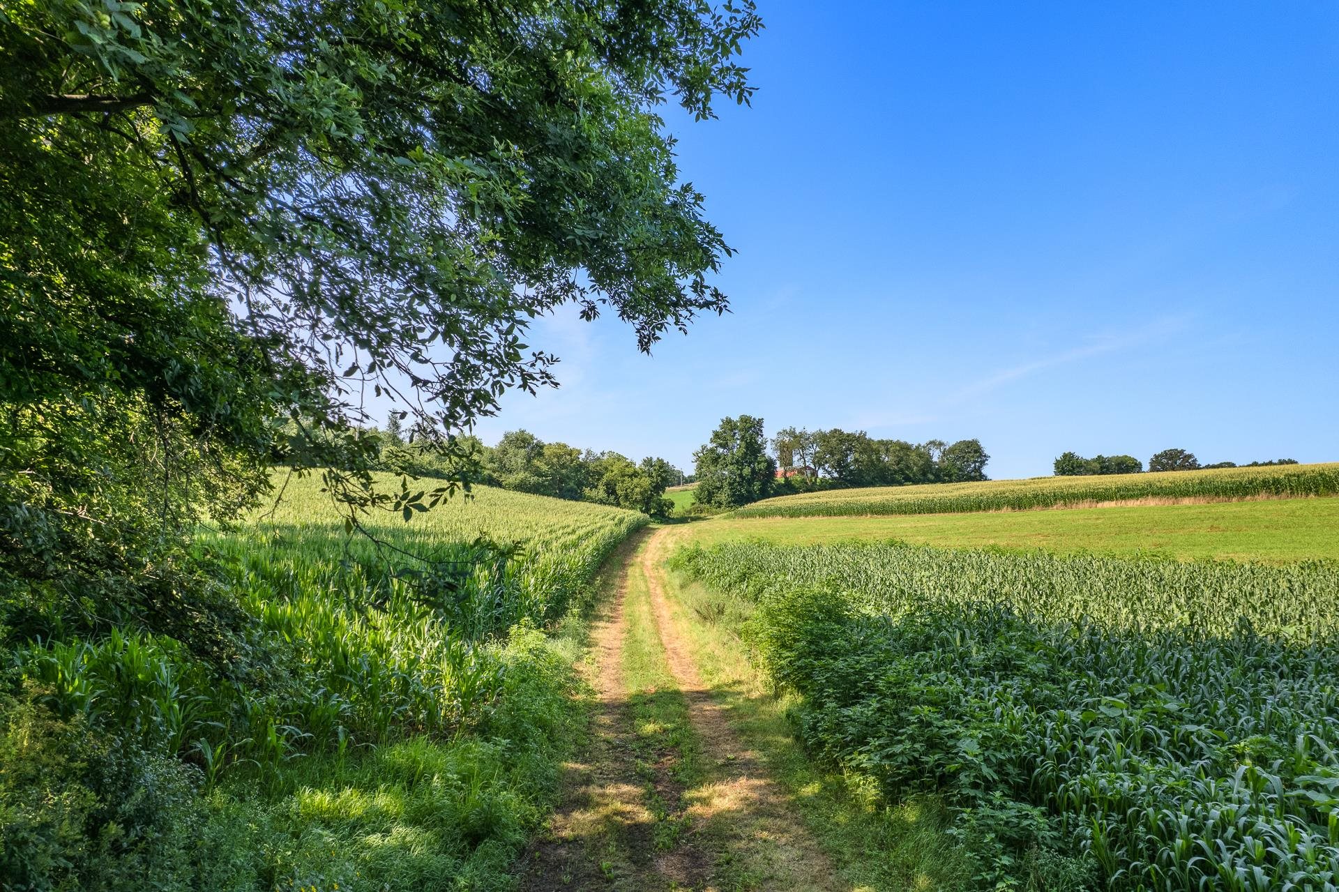 Riverside Verona, WI 53593 - Photo 25 of 37