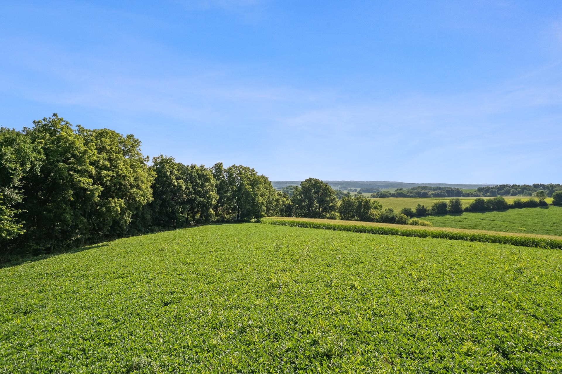 Riverside Verona, WI 53593 - Photo 28 of 37