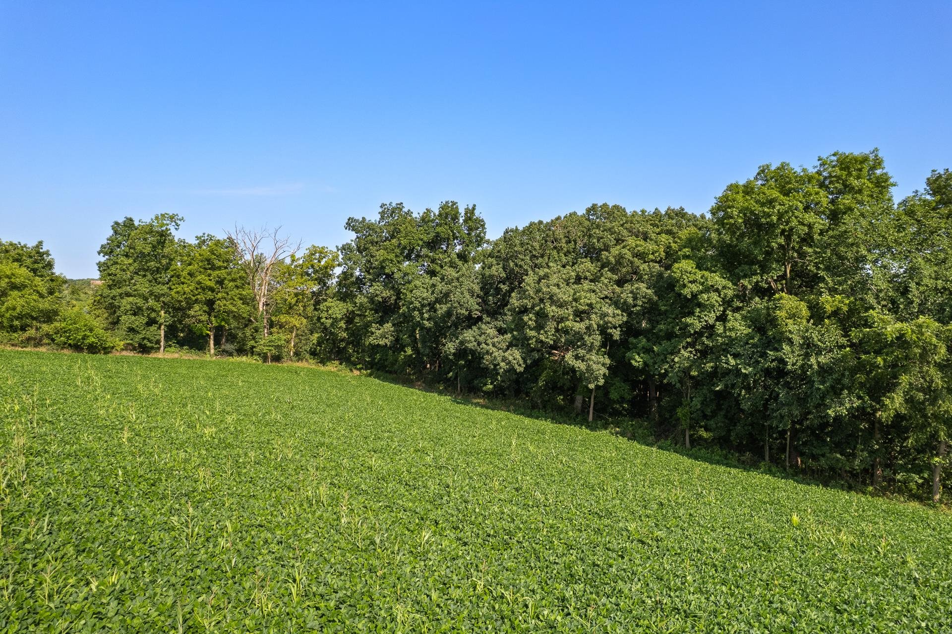 Riverside Verona, WI 53593 - Photo 29 of 37