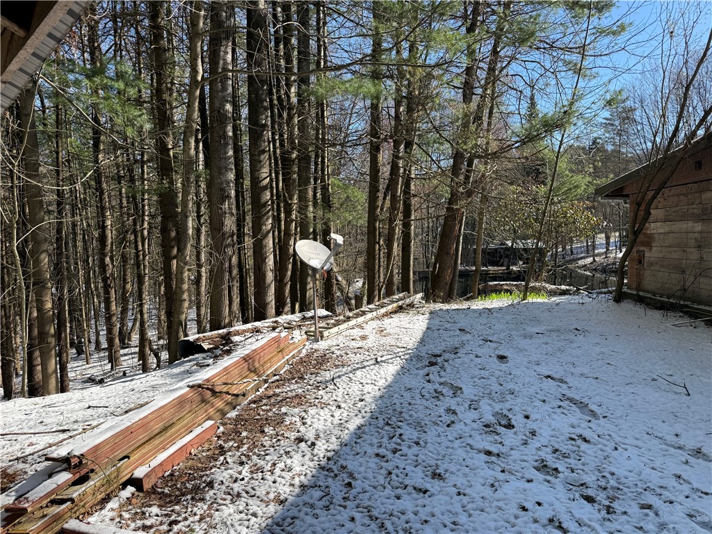 9675 Lafever Road Clarksville, NY 14727 - Photo 19 of 32