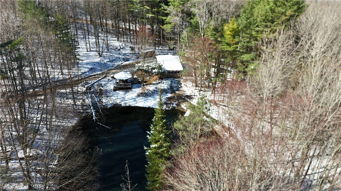 9675 Lafever Road Clarksville, NY 14727 - Photo 27 of 32