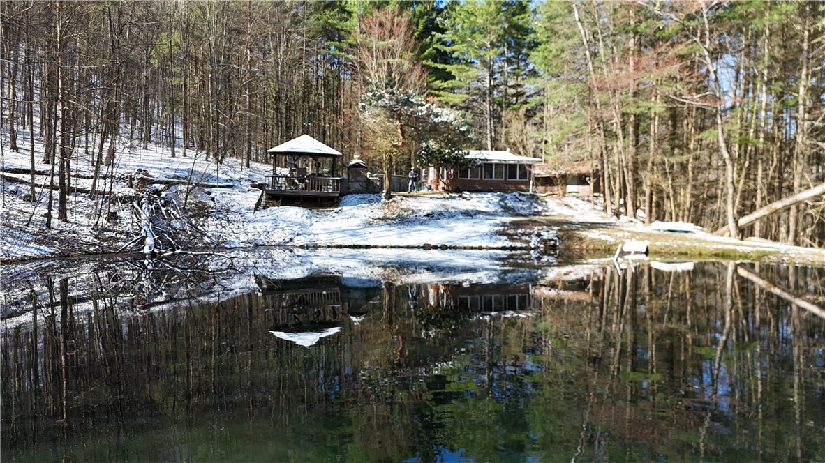 9675 Lafever Road Clarksville, NY 14727 - Photo 29 of 32