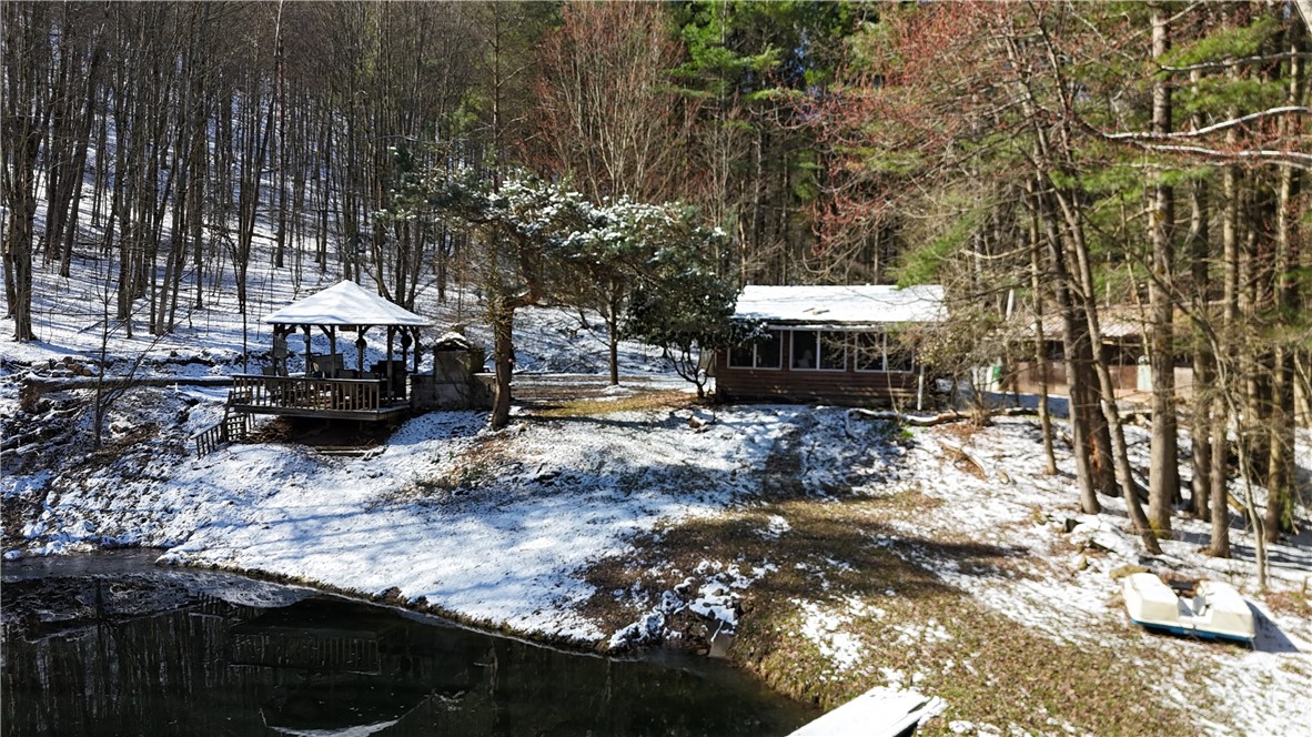 9675 Lafever Road Clarksville, NY 14727 - Photo 30 of 32