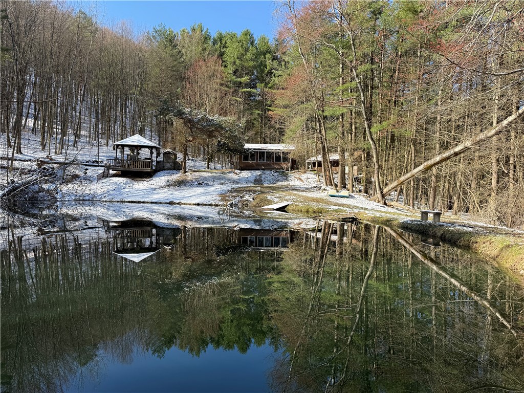 9675 Lafever Road Clarksville, NY 14727 - Photo 3 of 32