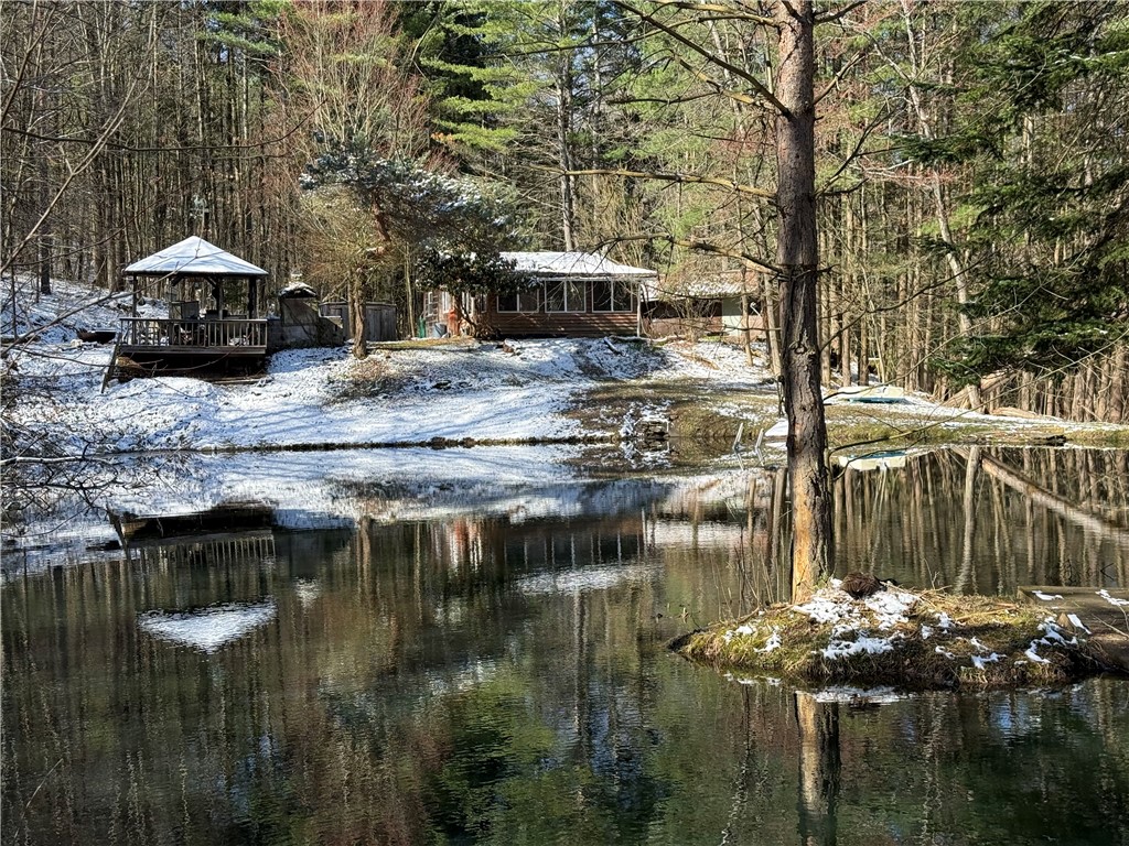 9675 Lafever Road Clarksville, NY 14727 - Photo 32 of 32