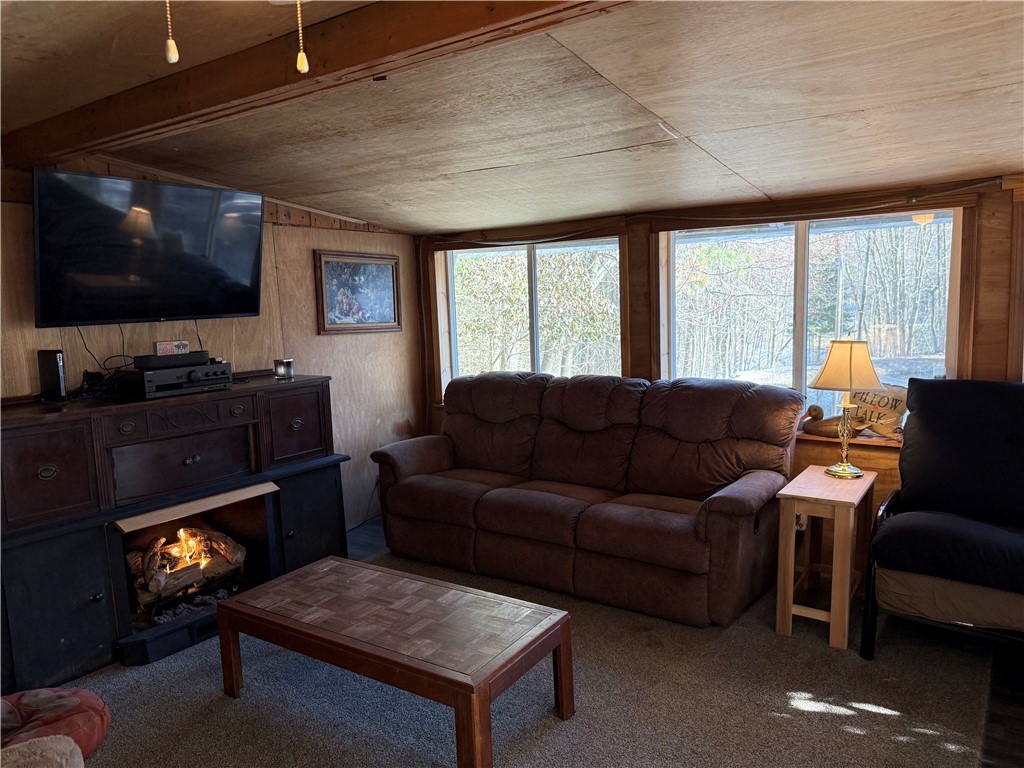 9675 Lafever Road Clarksville, NY 14727 - Photo 4 of 32