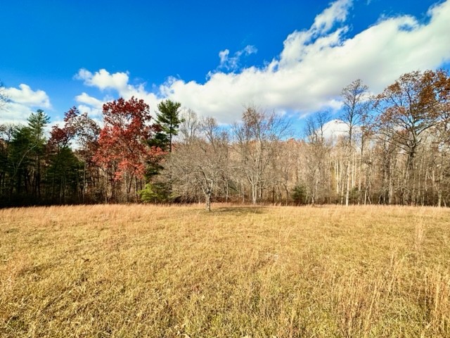206 Bell Road Crossville, TN 38571 - Photo 3 of 20