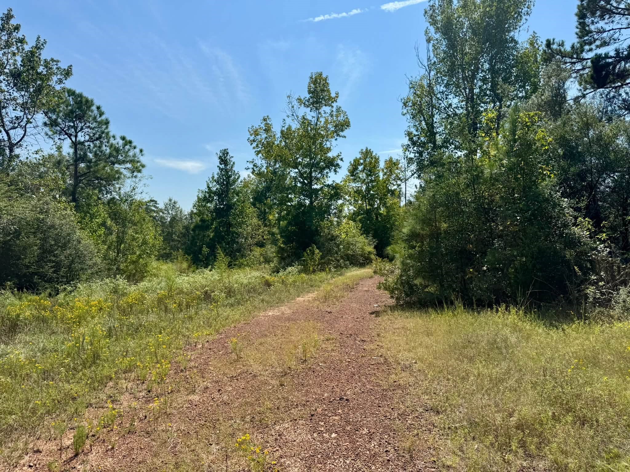 1 Private Road Hillister, TX 77624 - Photo 14 of 17 Gallery Image 14