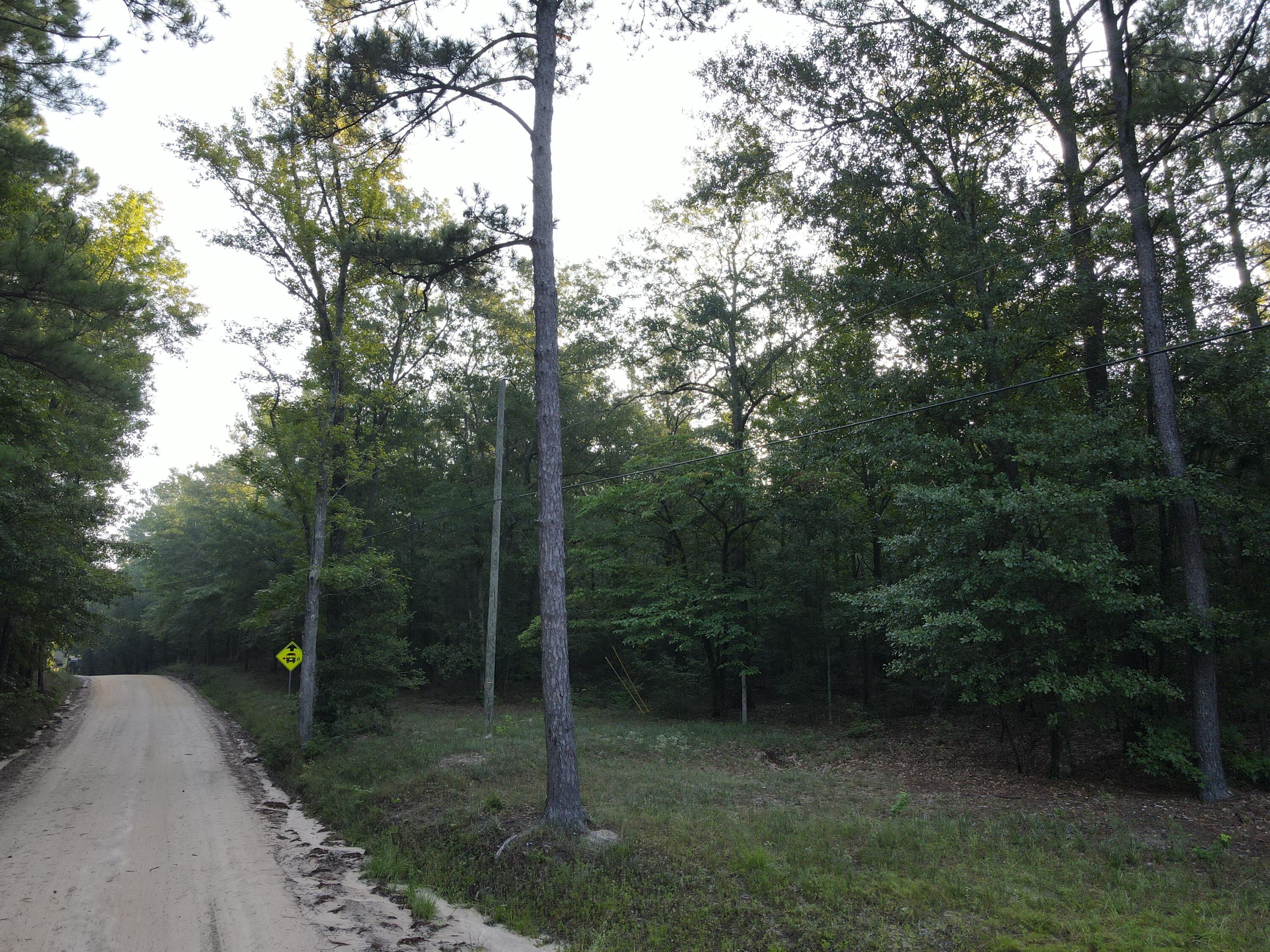 1325 Reynolds Farm Road Grovetown, GA 30813 - Photo 6 of 6 2100' of frontage on secluded Reynolds Farm Road.