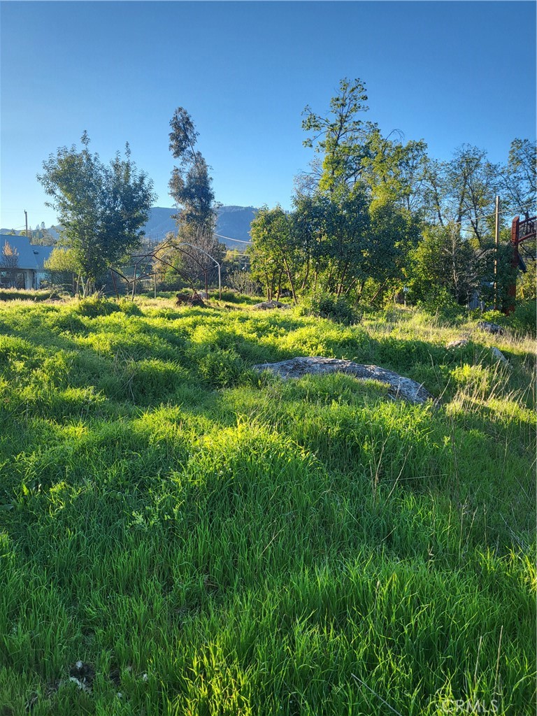 12235 Anderson Springs Road Middletown, CA 95461 - Photo 1 of 1 Gallery Image 1