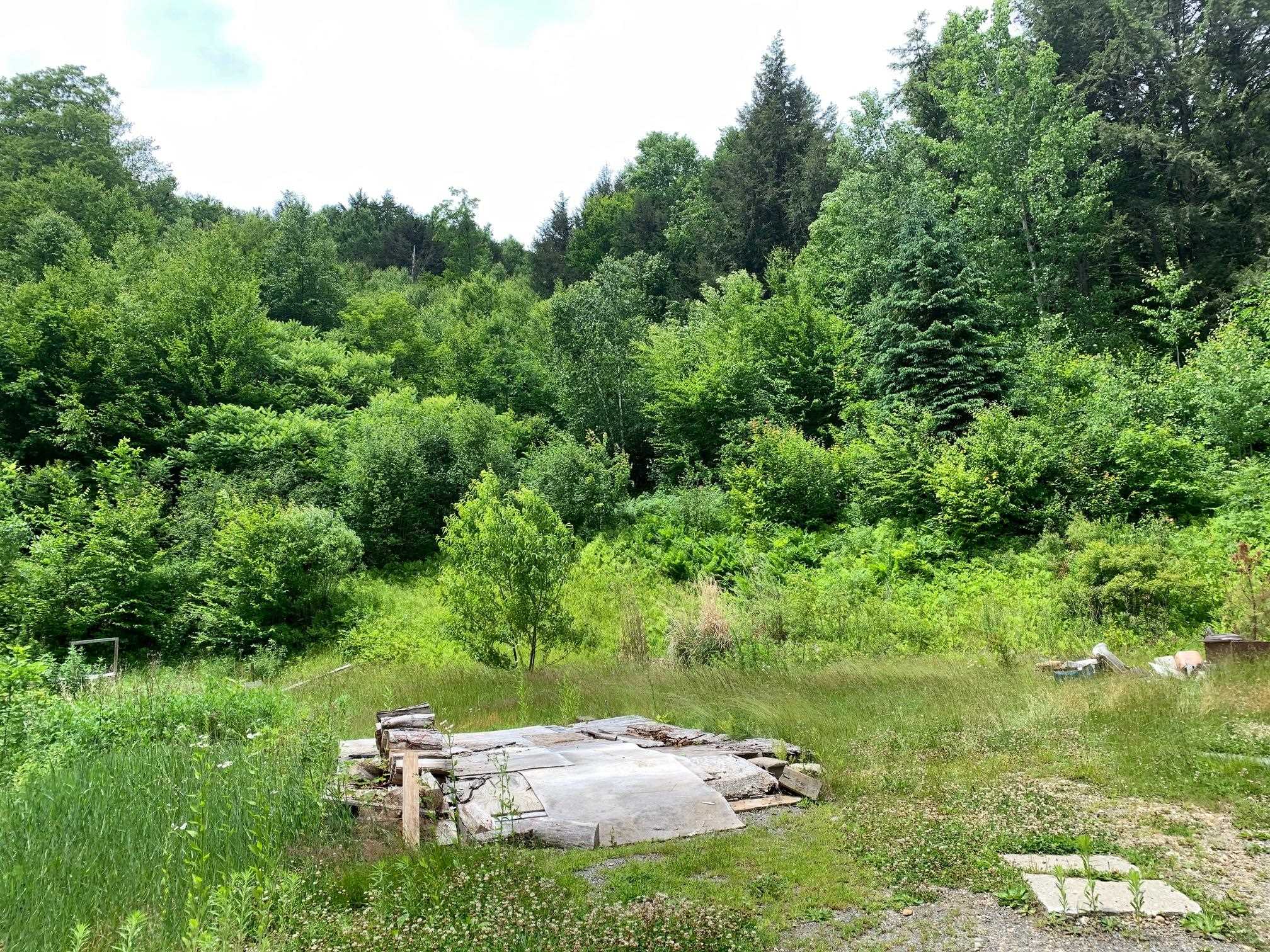 1383 Grassy Brook Road Brookline, VT 05345 - Photo 20 of 21