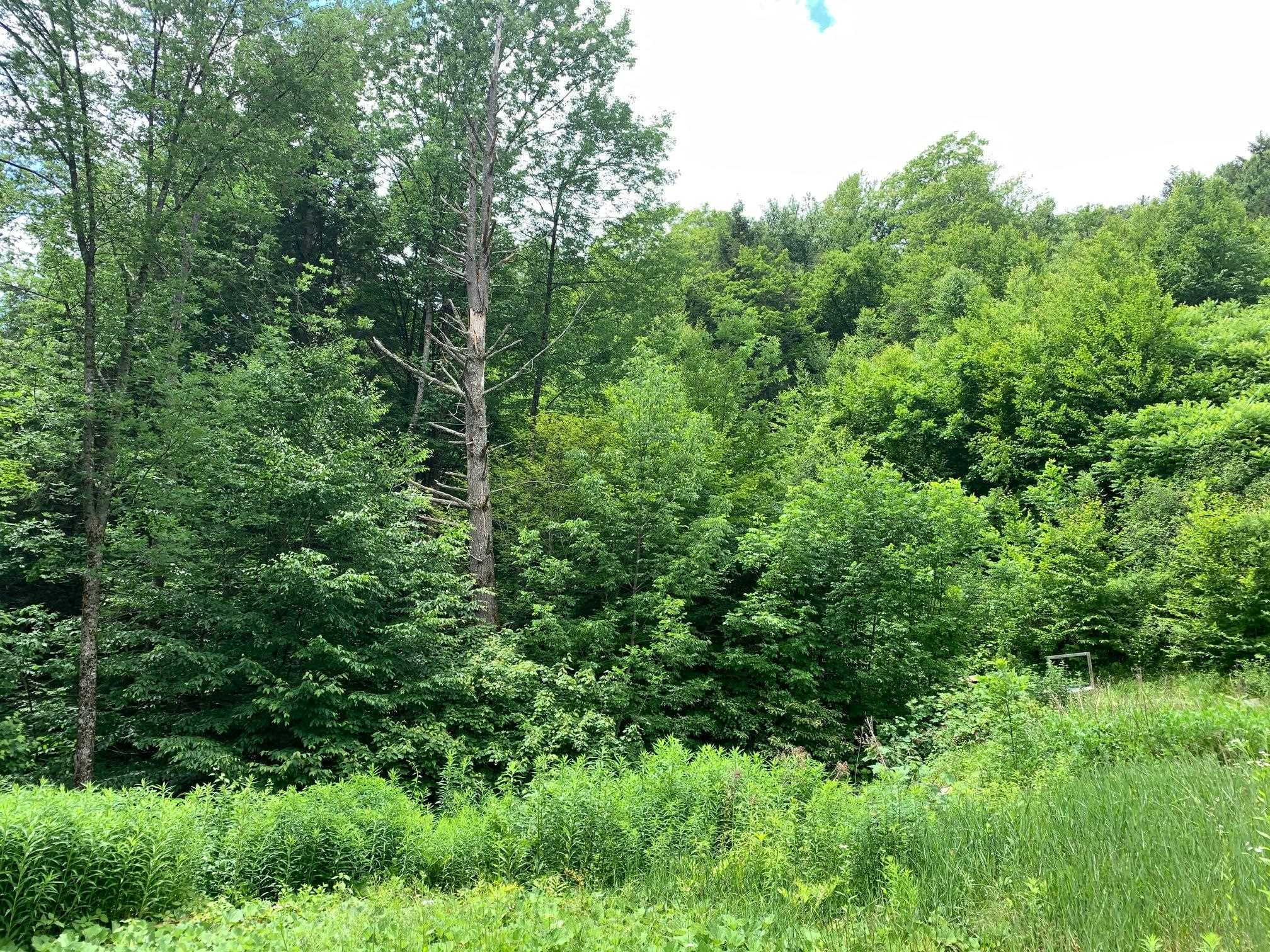 1383 Grassy Brook Road Brookline, VT 05345 - Photo 21 of 21