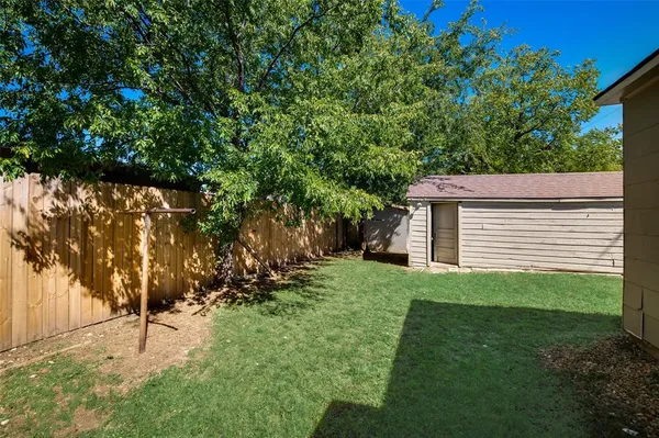 a view of a backyard with plants and large trees