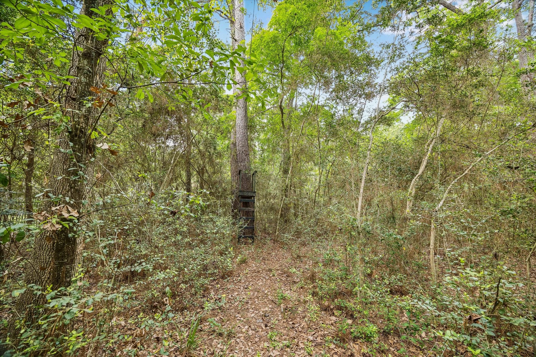 14530 Millhouse Road Pinehurst, TX 77362 - Photo 39 of 46 Nestled among the trees, a private zip line adds a playful touch—perfect for afternoon adventures right in your own backyard.