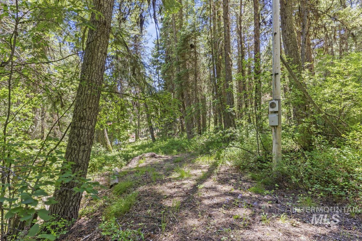 520 Susan Road Cascade, ID 83611 - Photo 2 of 11