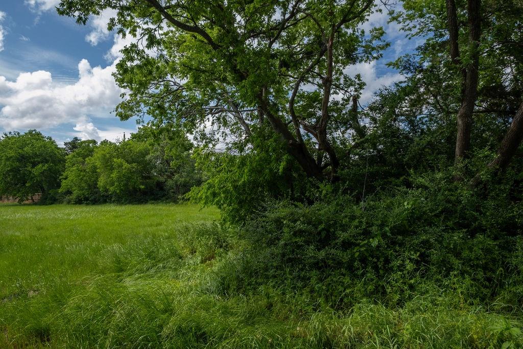 108 Williams Street Terrell, TX 75160 - Photo 4 of 11 a view of a lush green space
