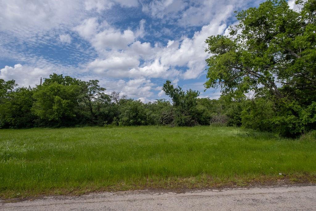 108 Williams Street Terrell, TX 75160 - Photo 9 of 11 a view of a grassy field with trees