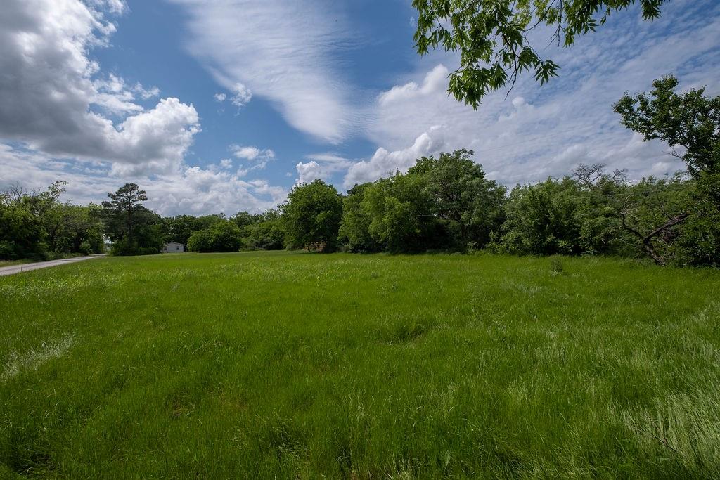 108 Williams Street Terrell, TX 75160 - Photo 10 of 11 a view of a garden with a building in the background