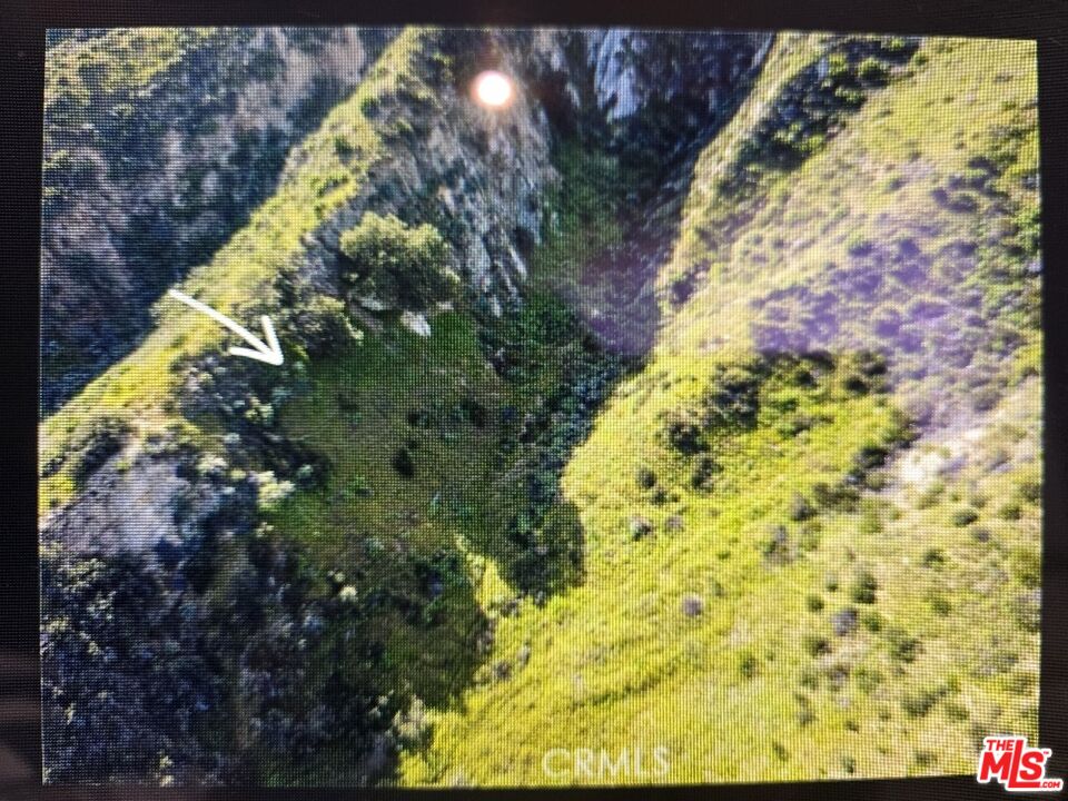 1 Adams Way, Unit 55 Val Verde, CA 91384 - Photo 4 of 4 a view of a garden with a tree