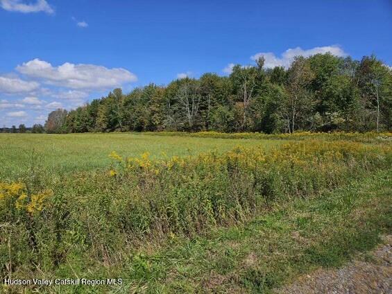 0 County Road Cincinnatus, NY 13040 - Photo 2 of 14 g-land2