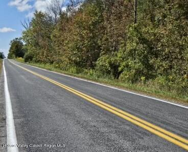 0 County Road Cincinnatus, NY 13040 - Photo 4 of 14 g-land1