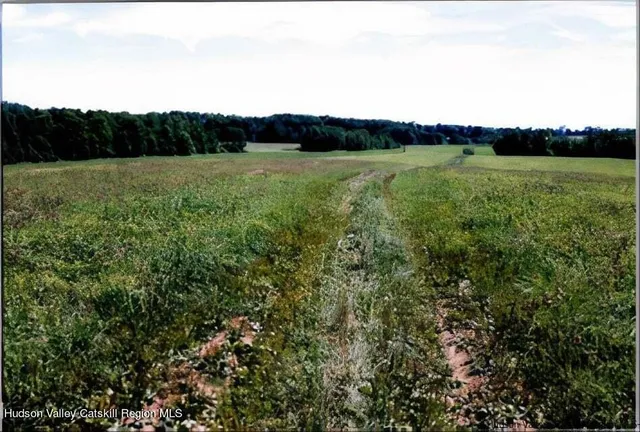 $105,900 | 0 County Road, Cincinnatus, NY 13040