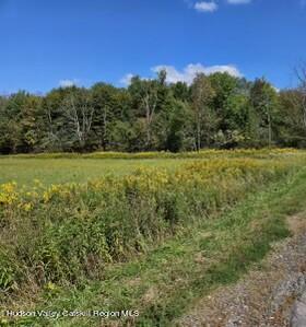 0 County Road Cincinnatus, NY 13040 - Photo 9 of 14 g-land9