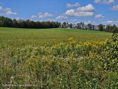 0 County Road Cincinnatus, NY 13040 - Photo 10 of 14 g-land6
