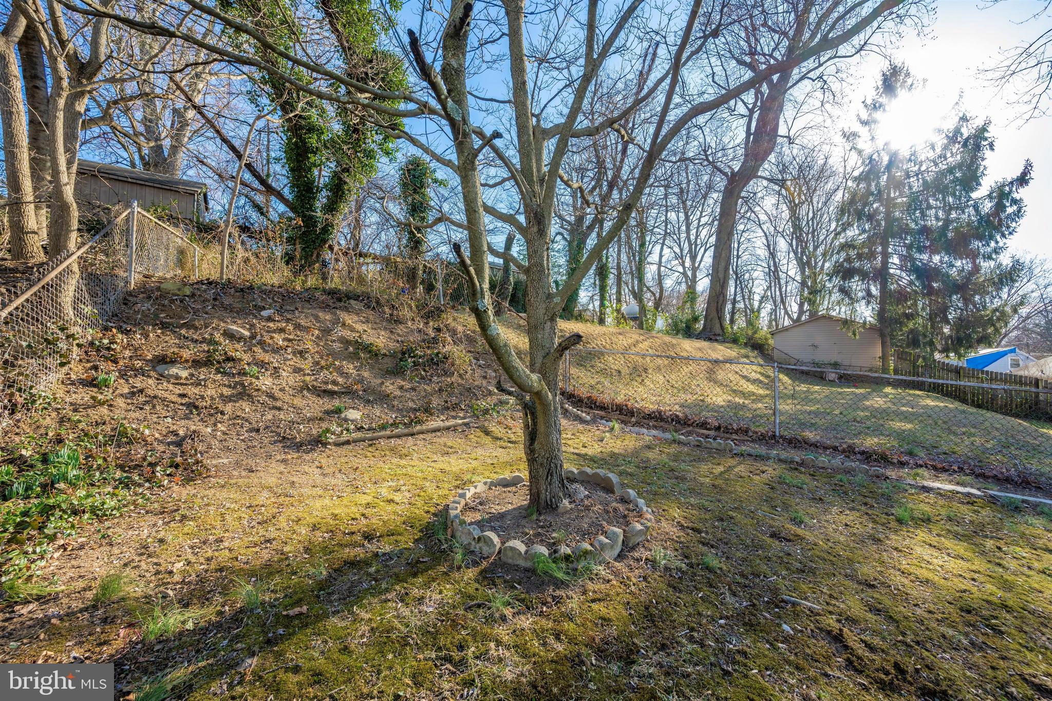 12221 Judson Road Silver Spring, MD 20902 - Photo 44 of 87