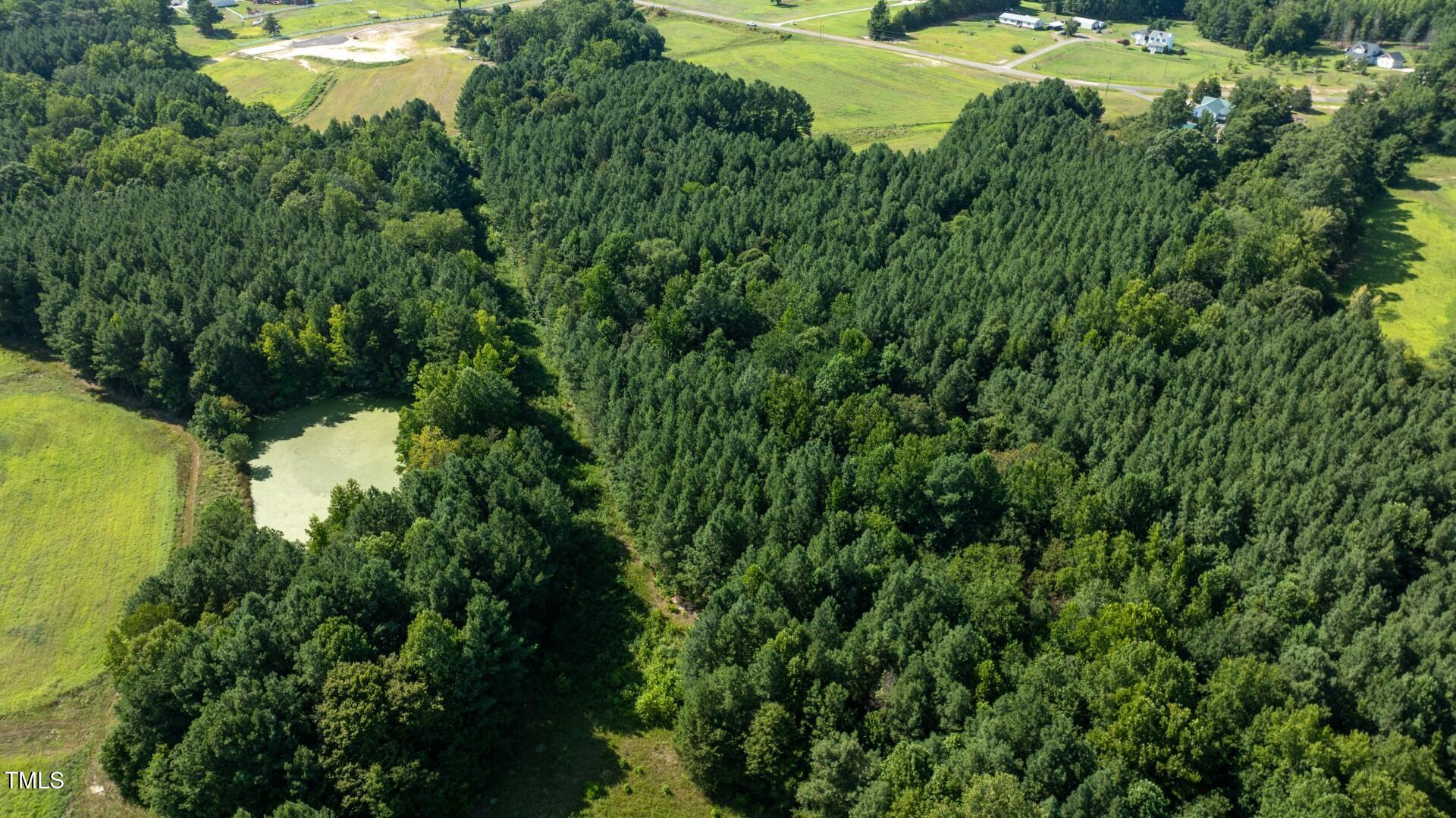 21.04 Bennett Road Creedmoor, NC 27522 - Photo 14 of 19 DJI_0387