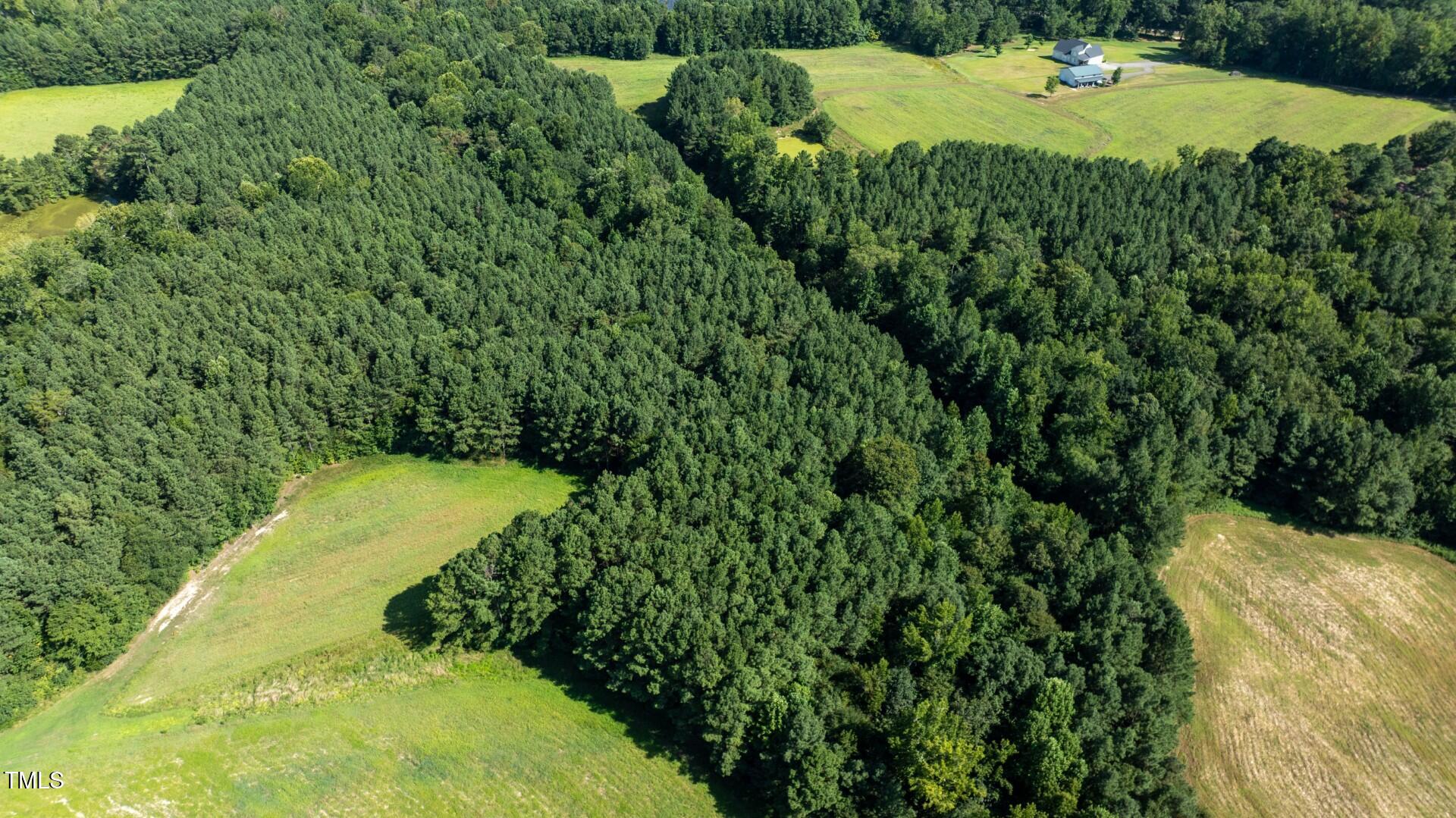 DJI_0377