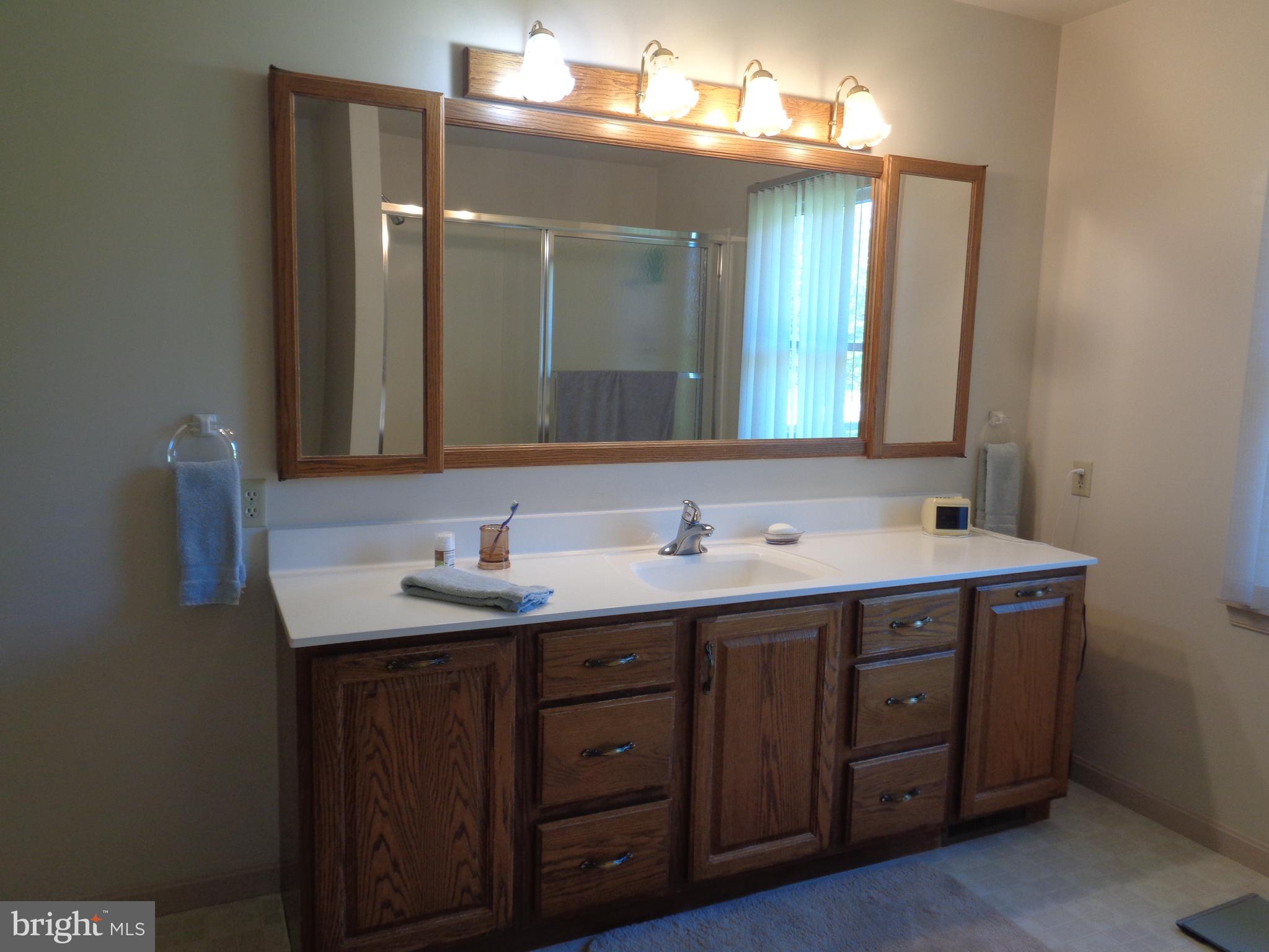 186 Dellville Dam Road Shermans Dale, PA 17090 - Photo 21 of 32 PRIMARY BATH