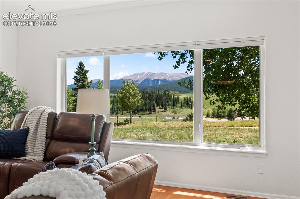 106 Joshua Road Divide, CO 80814 - Photo 5 of 39