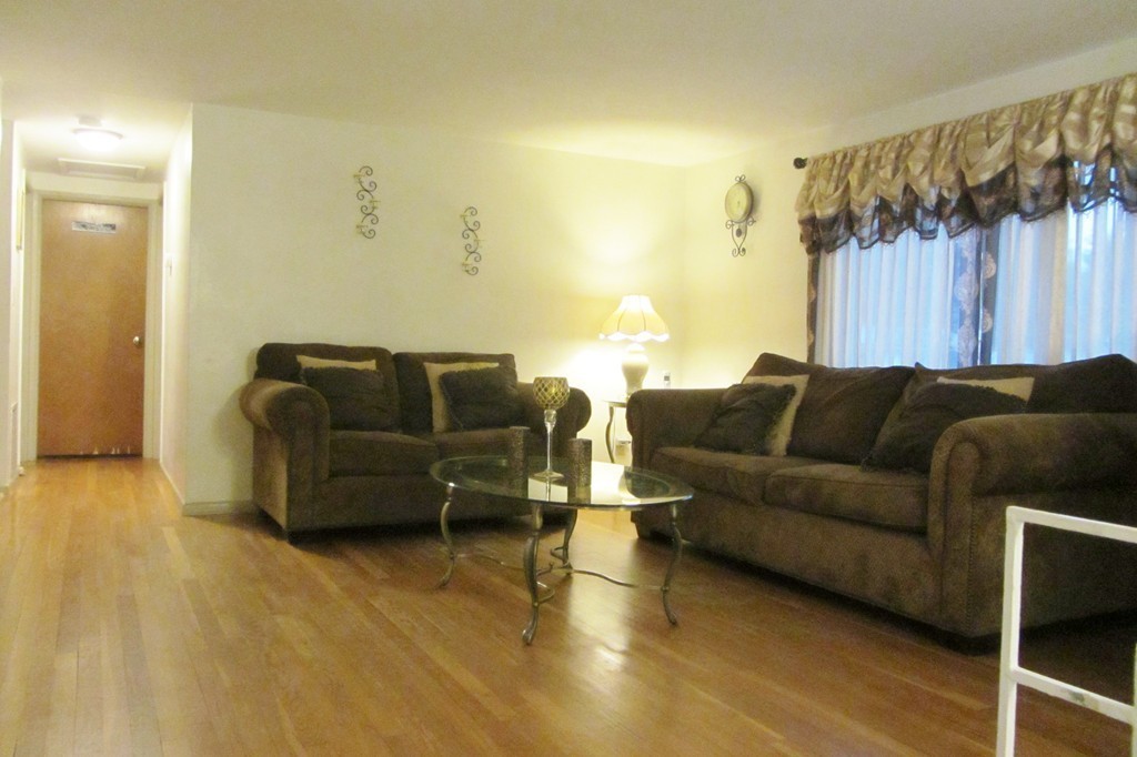 38 Alwin Street Boston, MA 02136 - Photo 4 of 16 Gallery Image 4