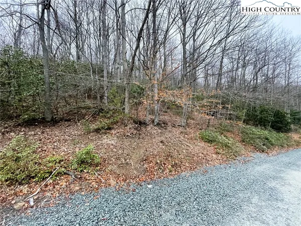 a view of a forest with trees