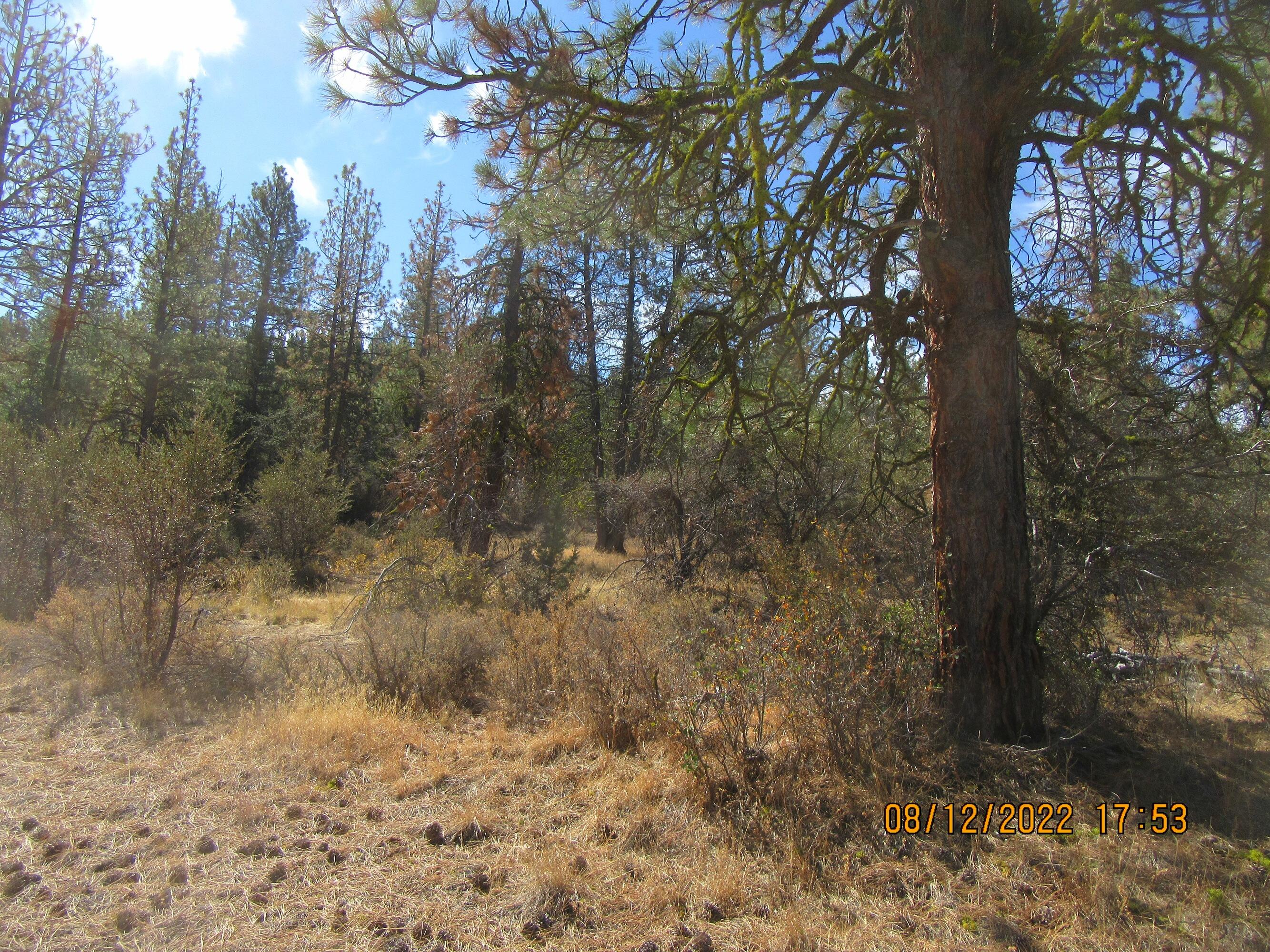 Lot 2 Tiger Lane Bonanza, OR 97623 - Photo 8 of 12 Tiger 3