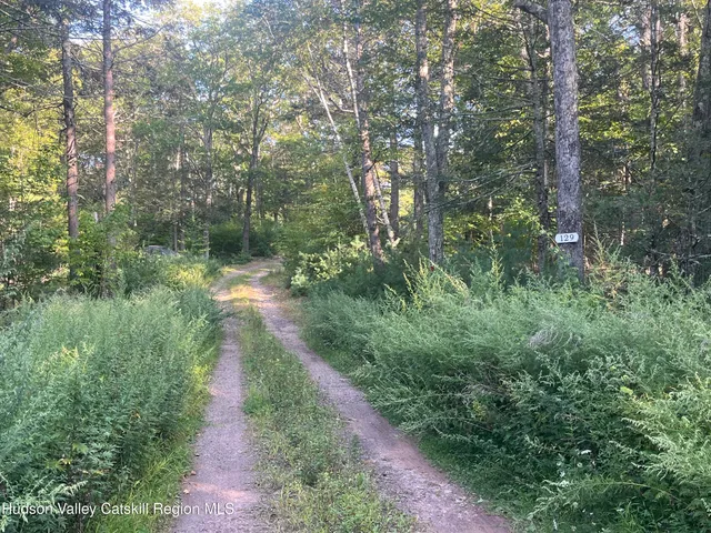a view of a pathway both side of yard