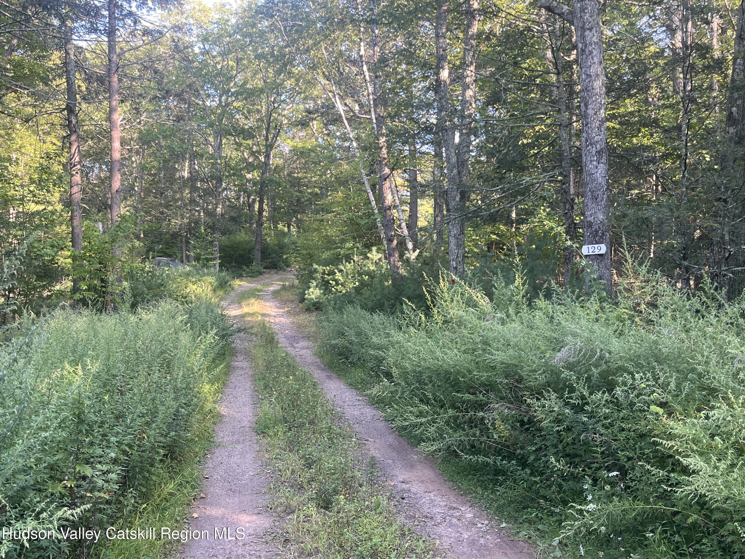 129 Bailey Road Purling, NY 12470 - Photo 1 of 10 a view of a pathway both side of yard