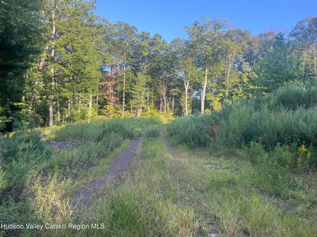 a view of a big yard with large trees