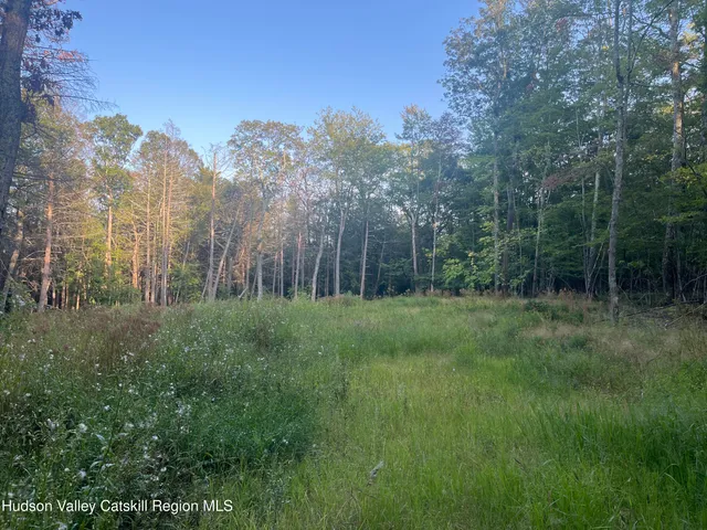 a view of a green field