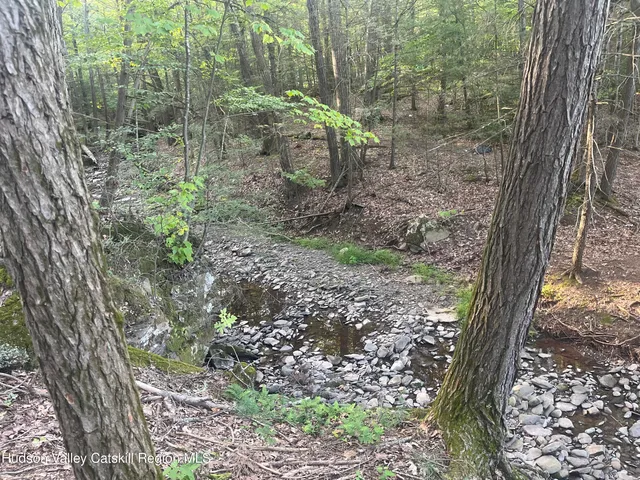 a view of a forest with trees