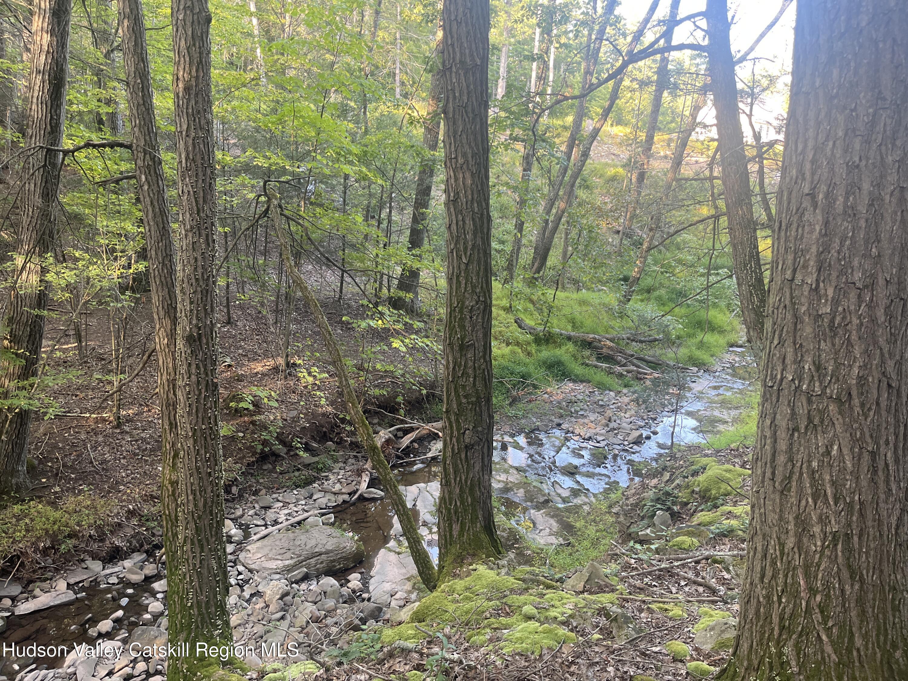 129 Bailey Road Purling, NY 12470 - Photo 5 of 10 a view of a forest with trees
