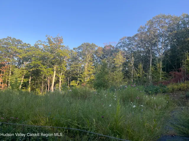 a view of a trees in a field