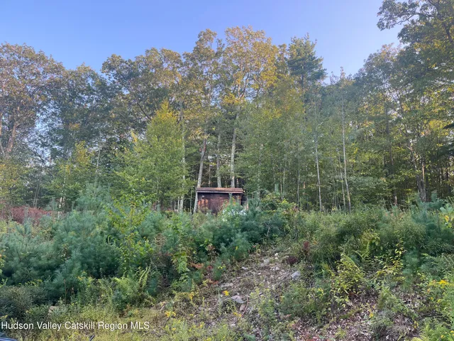 a view of a yard with plants and trees