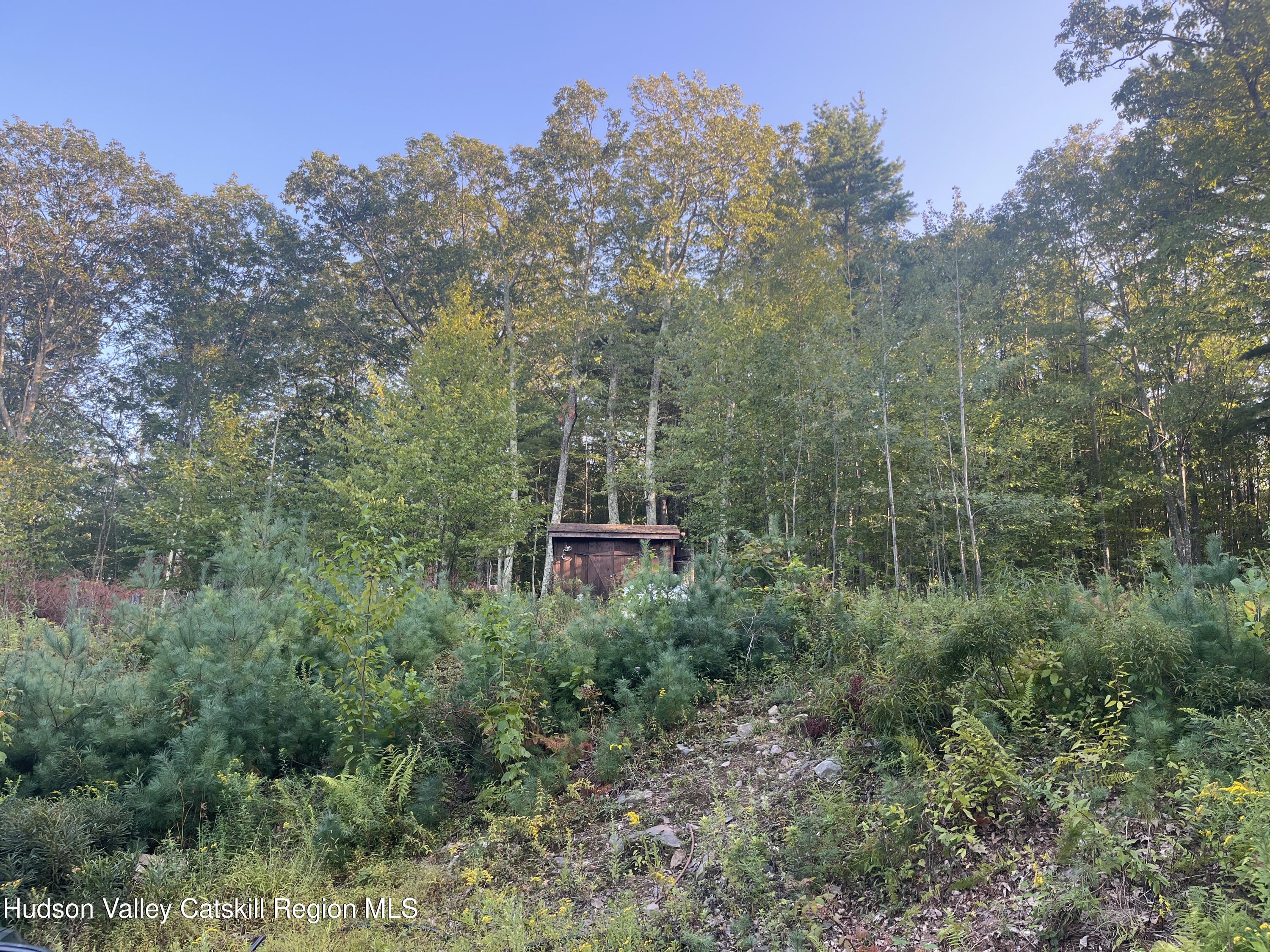 129 Bailey Road Purling, NY 12470 - Photo 7 of 10 a view of a trees in a field