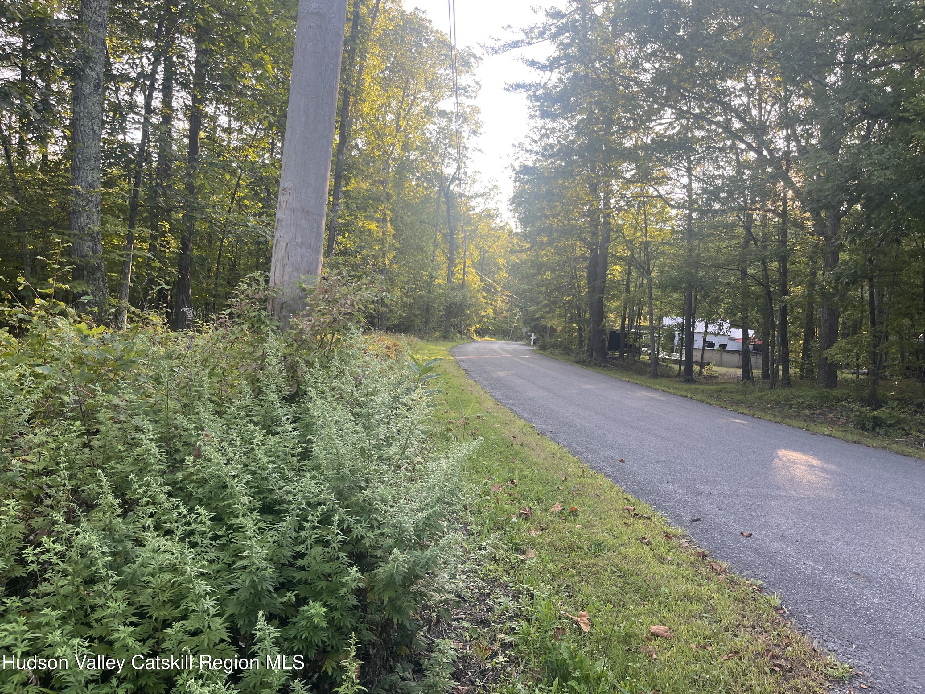 129 Bailey Road Purling, NY 12470 - Photo 9 of 10 a view of a yard with plants and trees