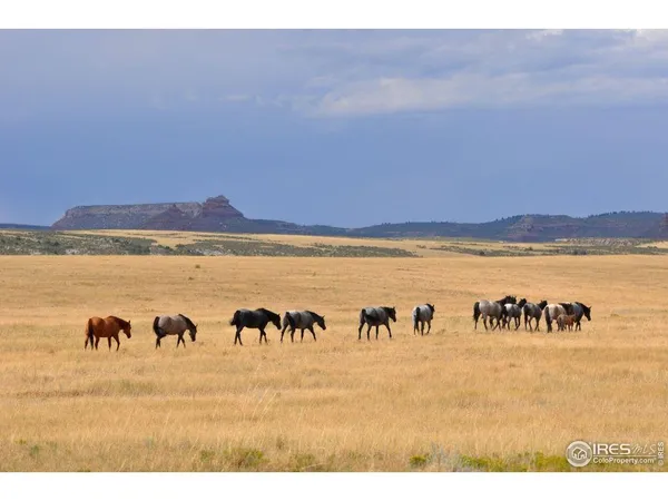 a view of ocean with beach