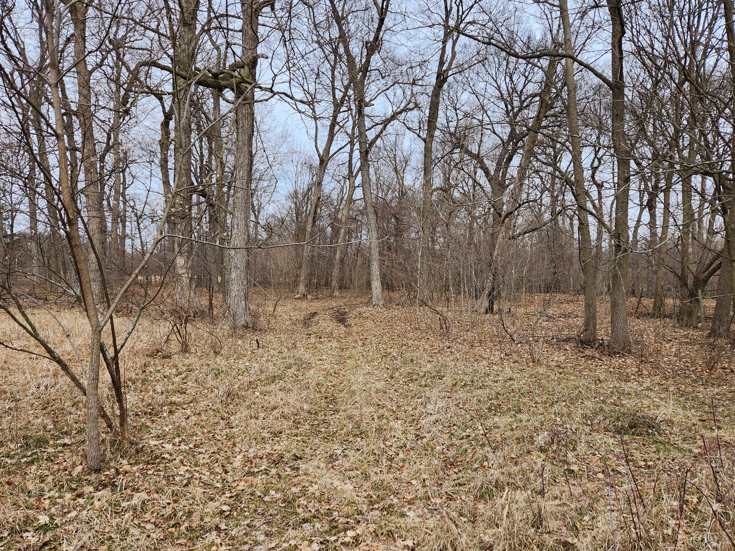11409 North Grove Road Sycamore, IL 60178 - Photo 6 of 21 a backyard of a house with lots of green space