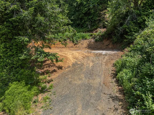 a view of a yard with a tree