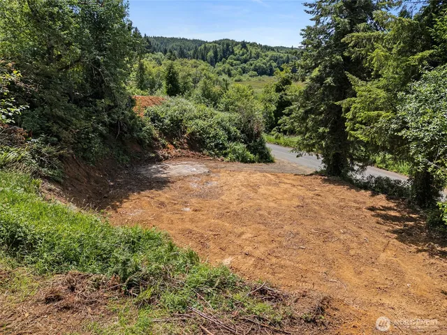 a view of a yard with a tree